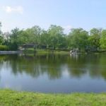 View of Dock from Across the Lake