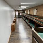 Ride Bunkroom with 8 bunk beds